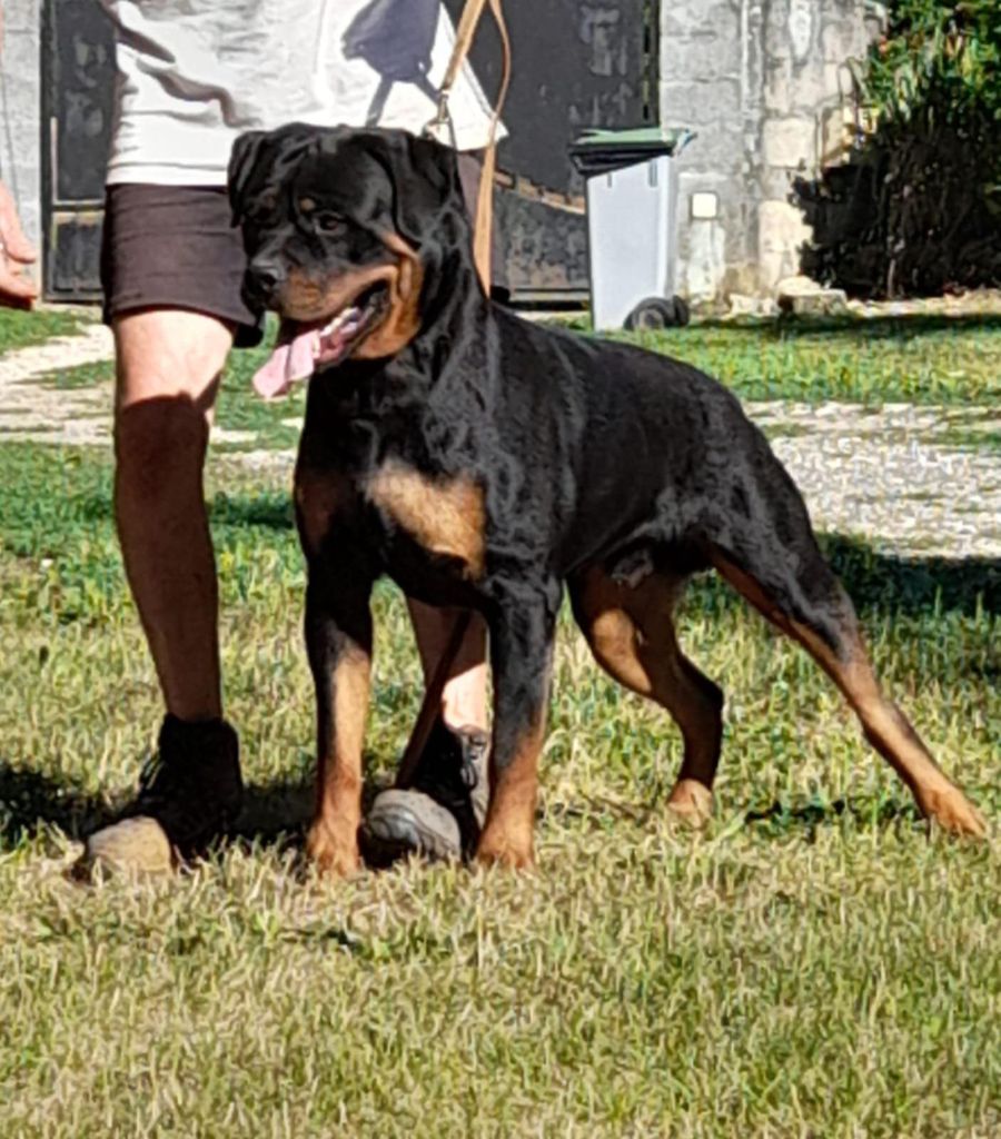 Veyrac Des Nouradons